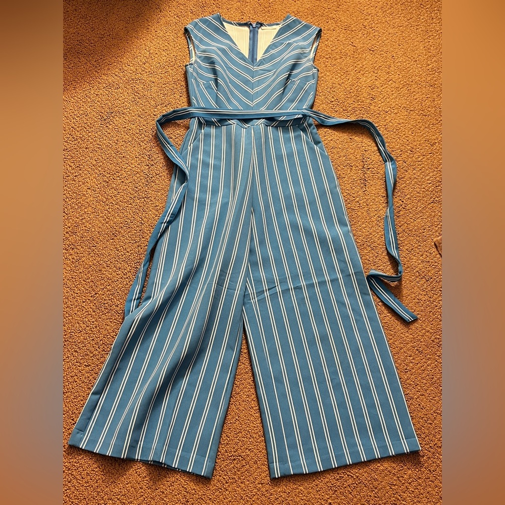 Blue pinstripe jumpsuit